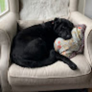 Meet your Posher, Meg